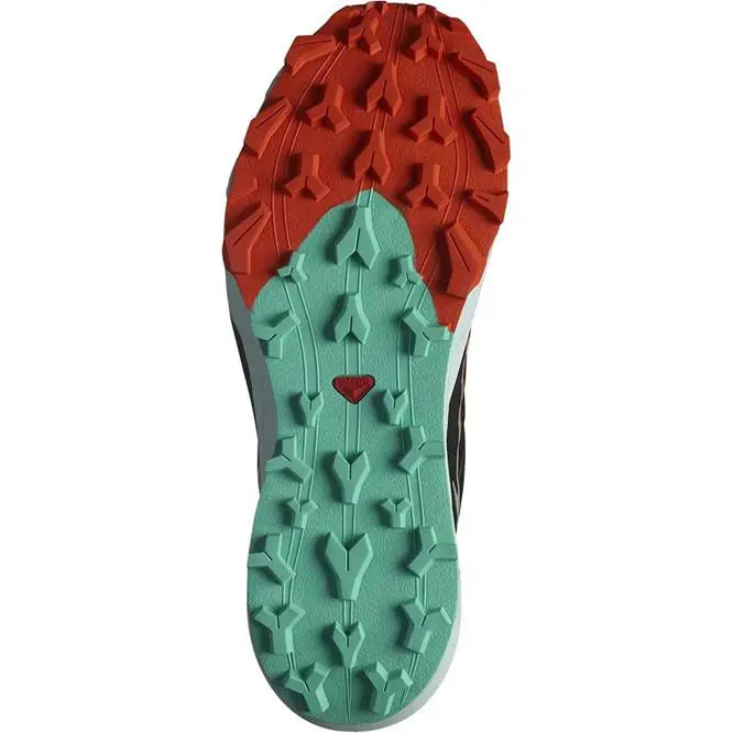 Salomon shoes - Salomon Thundercross - Thundercross - Black 1