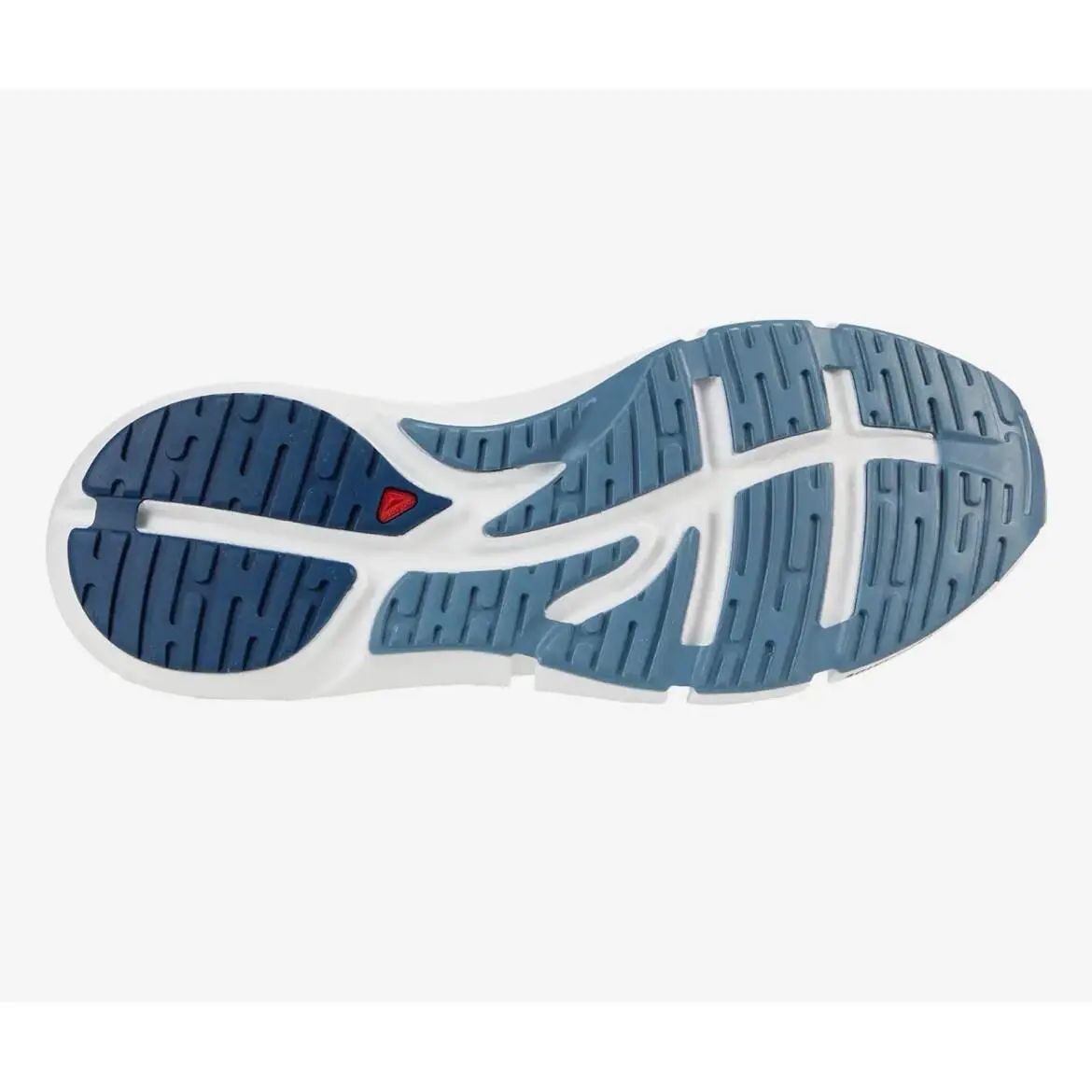 Salomon shoes - Salomon Predict 2 - Predict - L41125200 - Blue 1