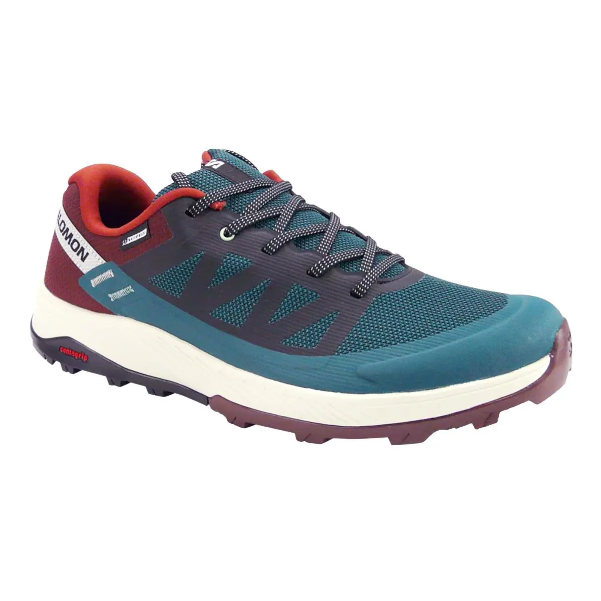 Salomon Climasalomon Waterproof Hiking Pine/bitter Chocolate/vanilla Ice US9.5 - Multi