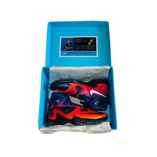 Nike Lebron 13 Xiii Doernbecher DB Size 14 838989-805 All Star Bhm What The