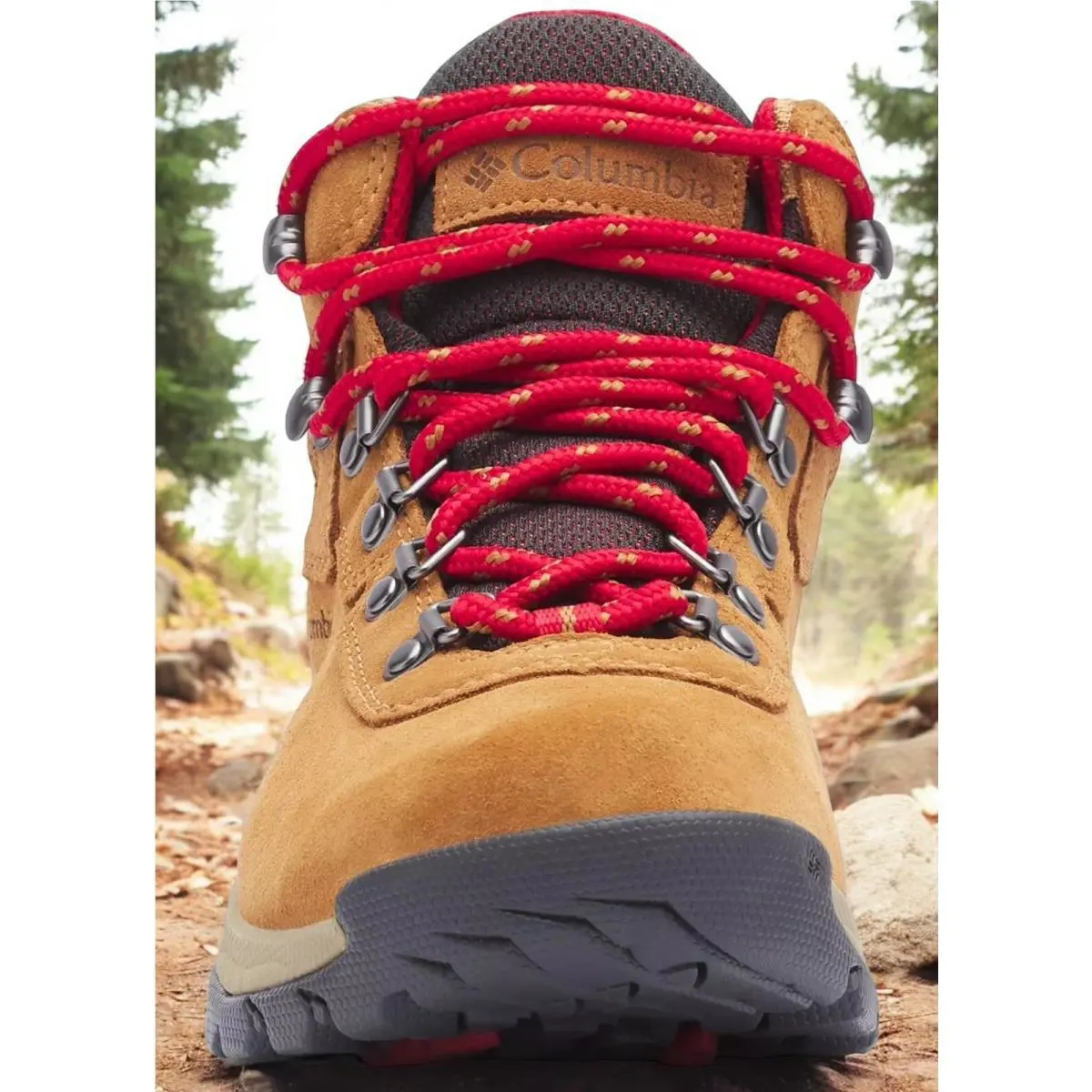 Columbia shoes Newton Ridge Plus - Chestnut Brown 0