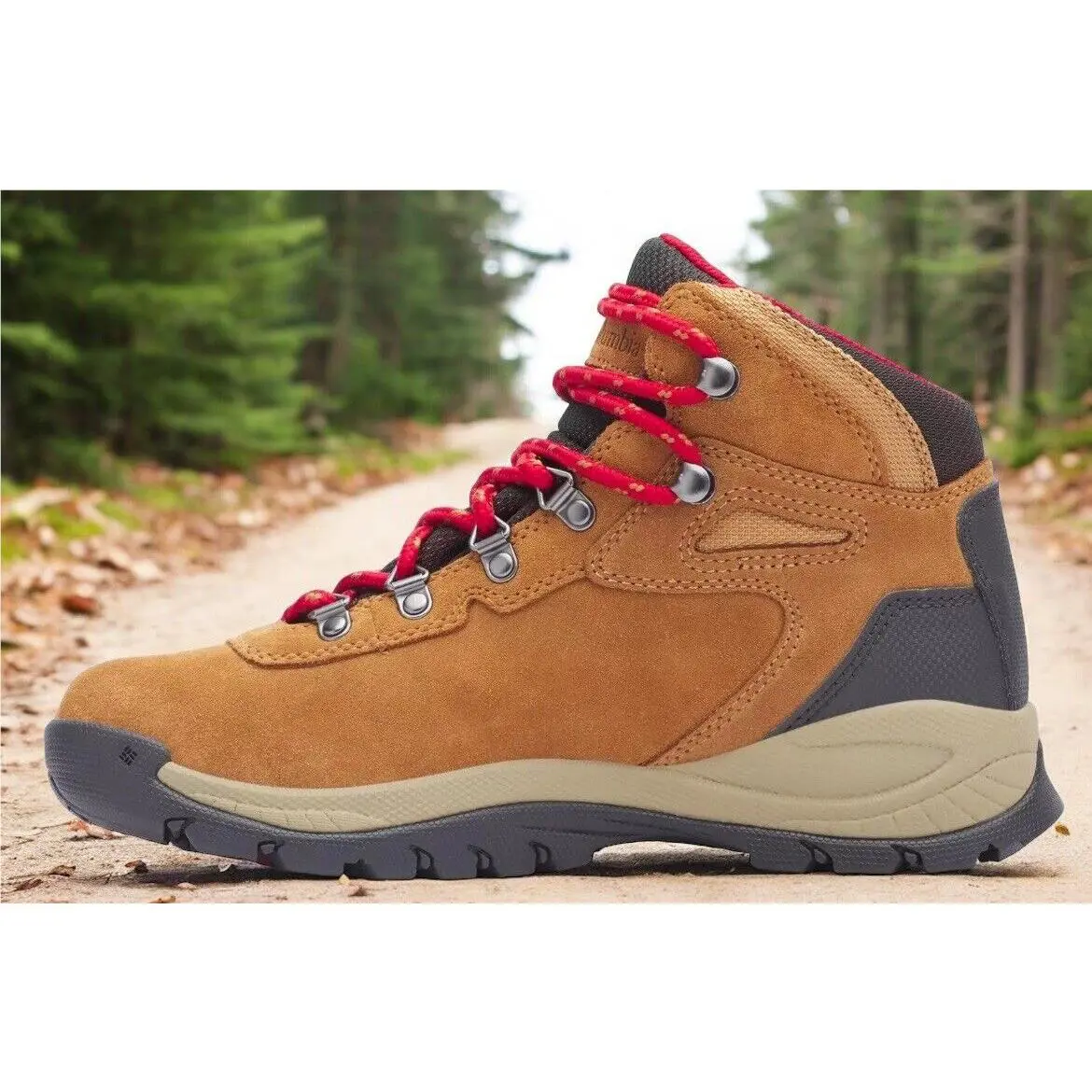 Columbia shoes Newton Ridge Plus - Chestnut Brown 1