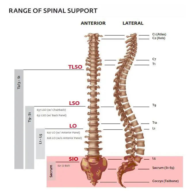 Exos  - Lumbar Belt - Lumbar Belt - Black 1