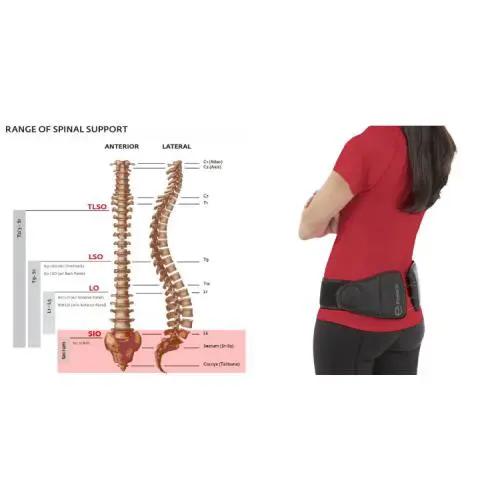 Exos  - Lumbar Belt - Lumbar Belt - Black 5