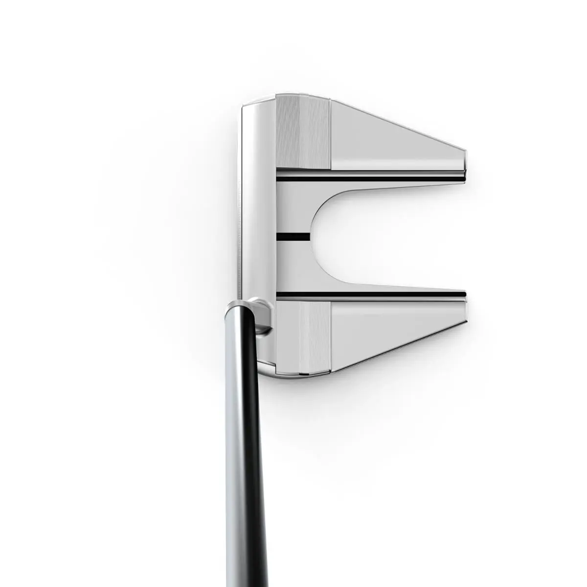 Wilson  - Staff - Staff 1