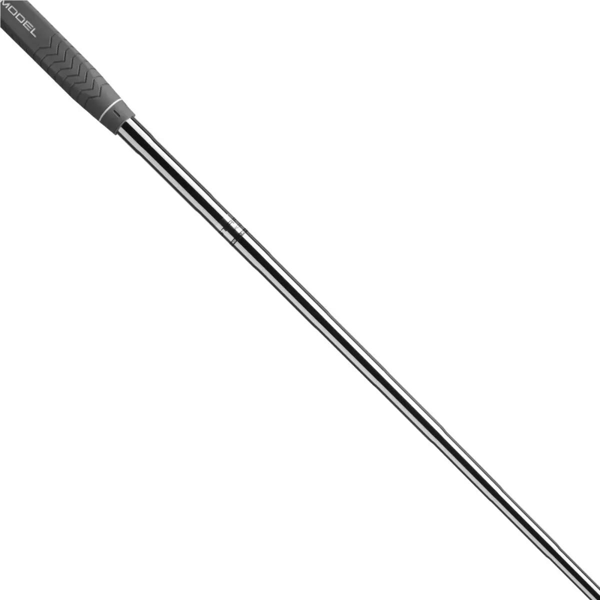Wilson  - Staff - Staff 3