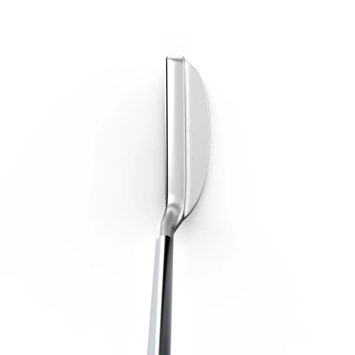 Wilson  - Staff - Staff 1