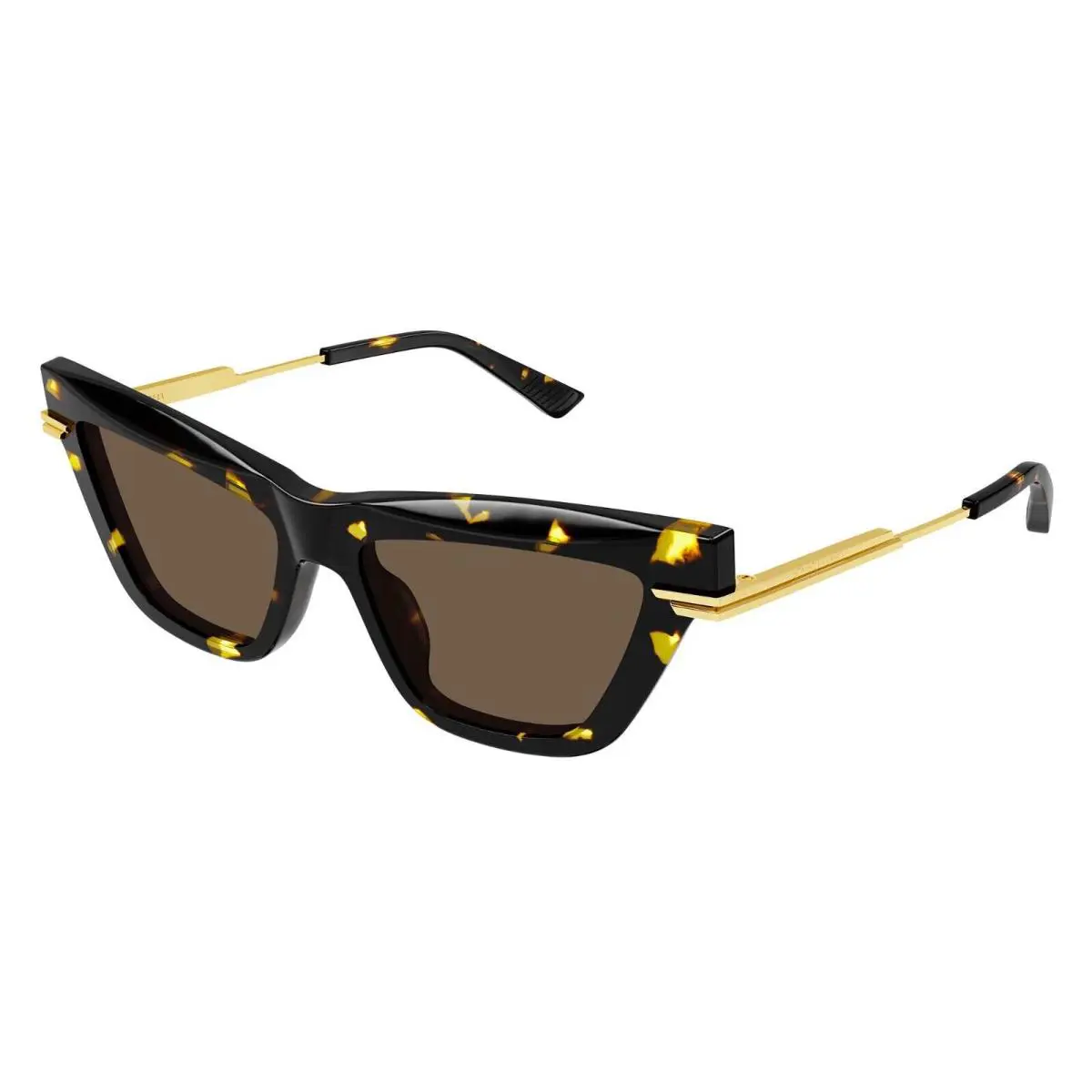 BV1241S Dark Tortoise/brown 002 Sunglasses by Bottega Veneta
