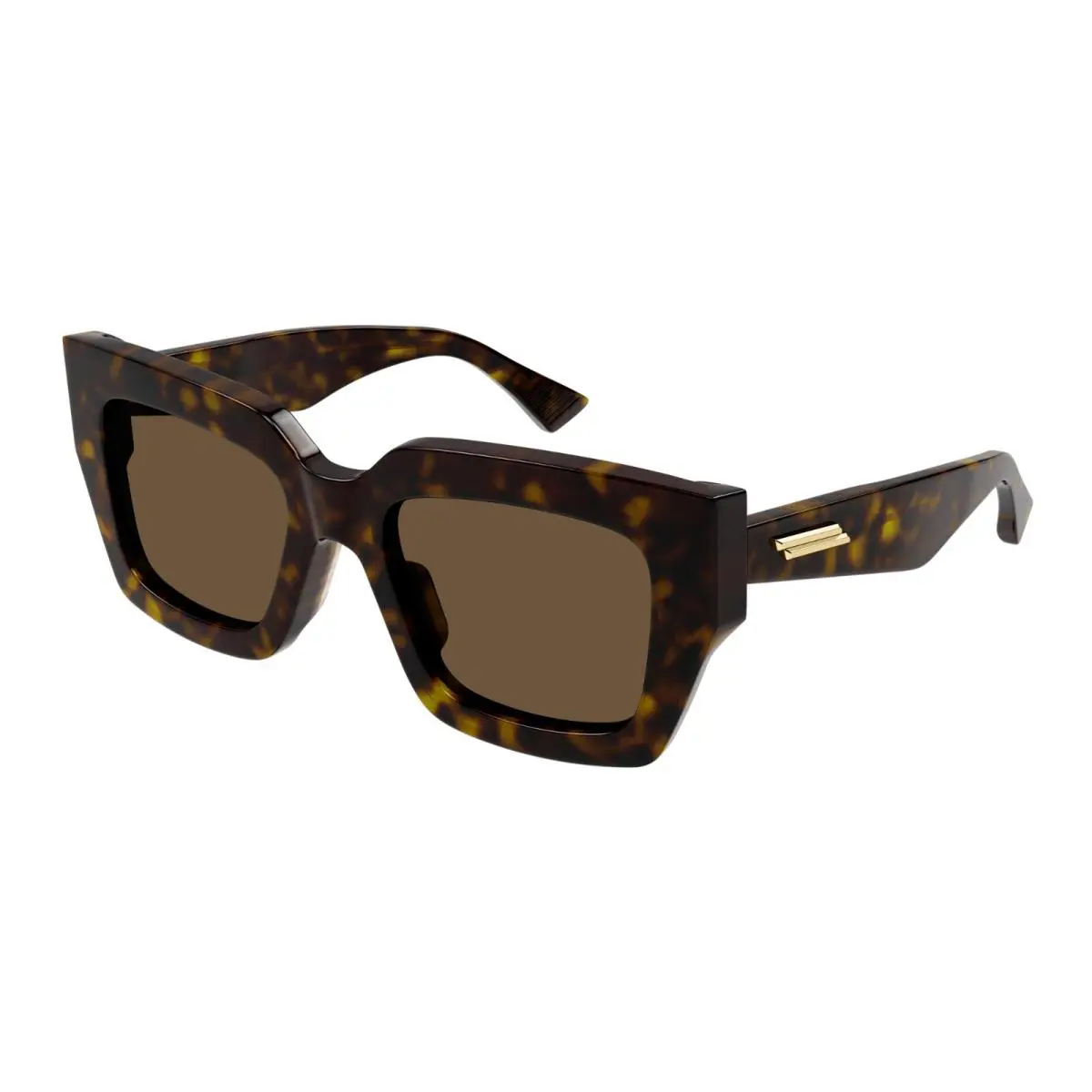 BV1212S Havana/brown 002 Sunglasses by Bottega Veneta