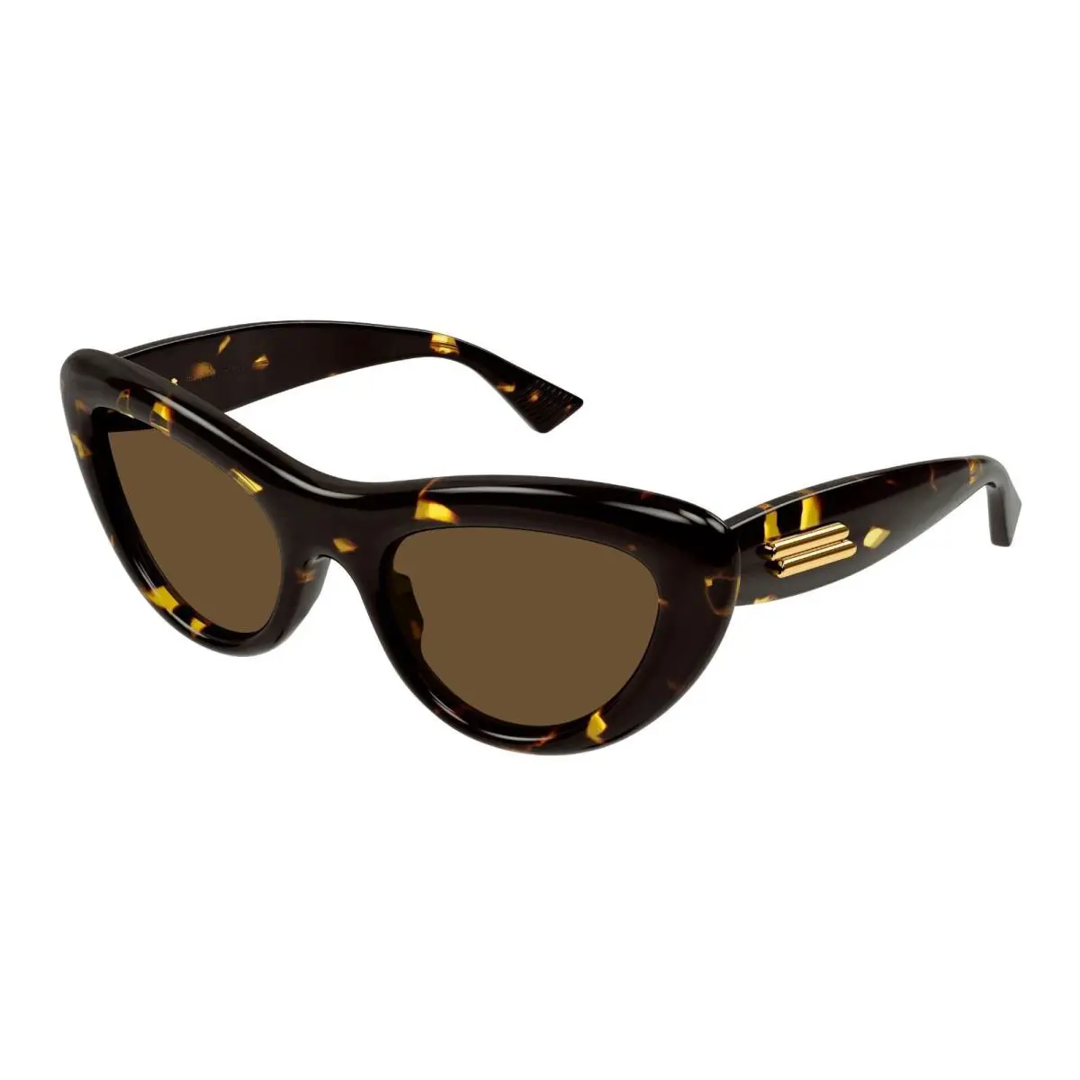 BV1282S Havana/brown 002 Sunglasses by Bottega Veneta