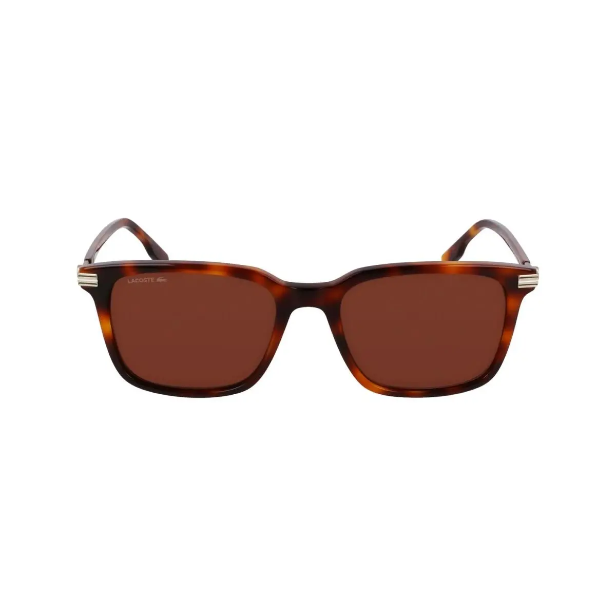 Lacoste Men`s Sunglasses L6035S - Havana with Solid Brown Lens