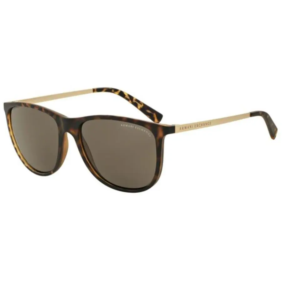 Sunglass AX4047SF-802973 Brown by Armani Exchange