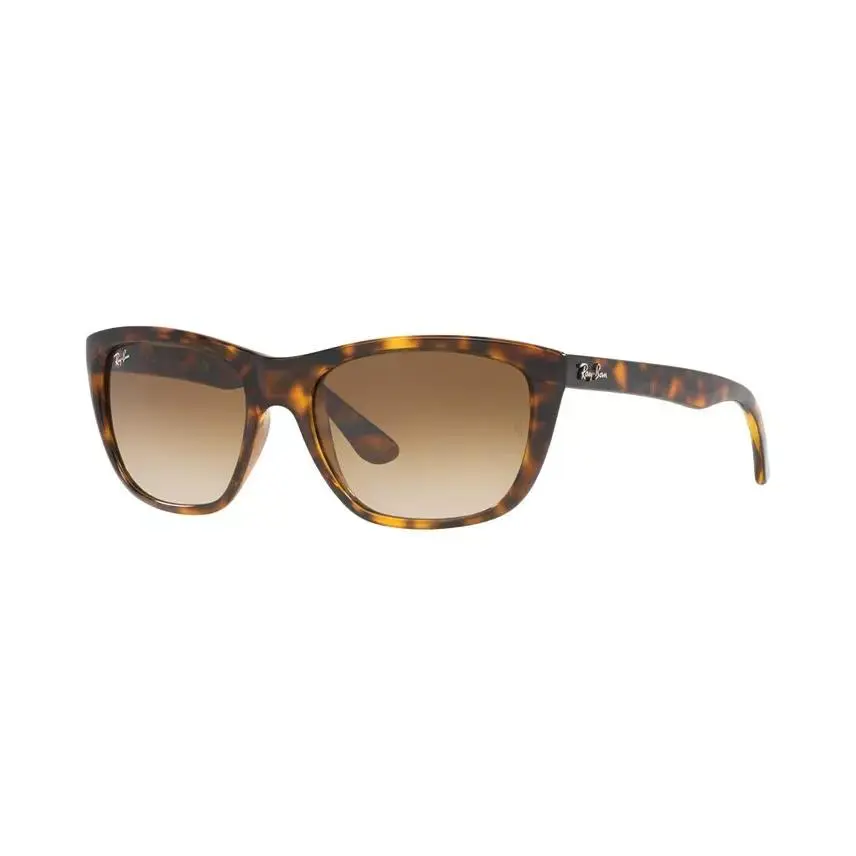 Guess Rayban Brown Tortoise Silver Frame Sunglasses - RB4154