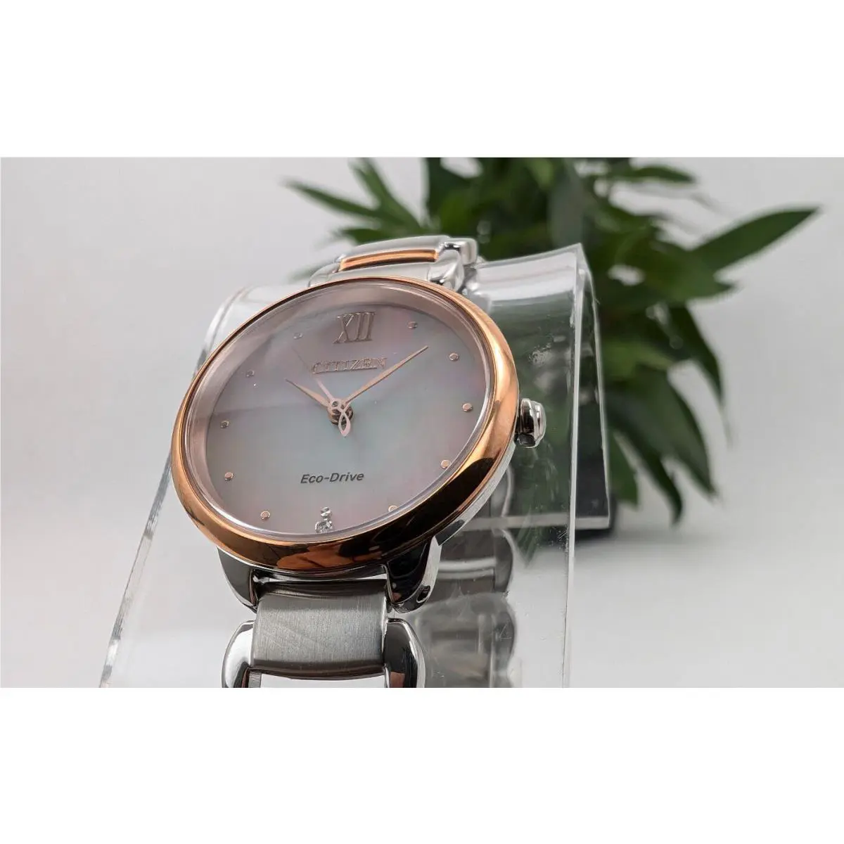 Citizen Eco-drive Classic Stainless Steel Ladies Quartz Watch EM0926-55Y