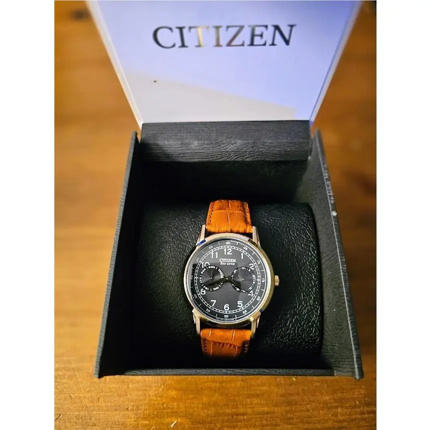 Citizen Eco-drive Corso Quartz Mens Watch AO9003-08E