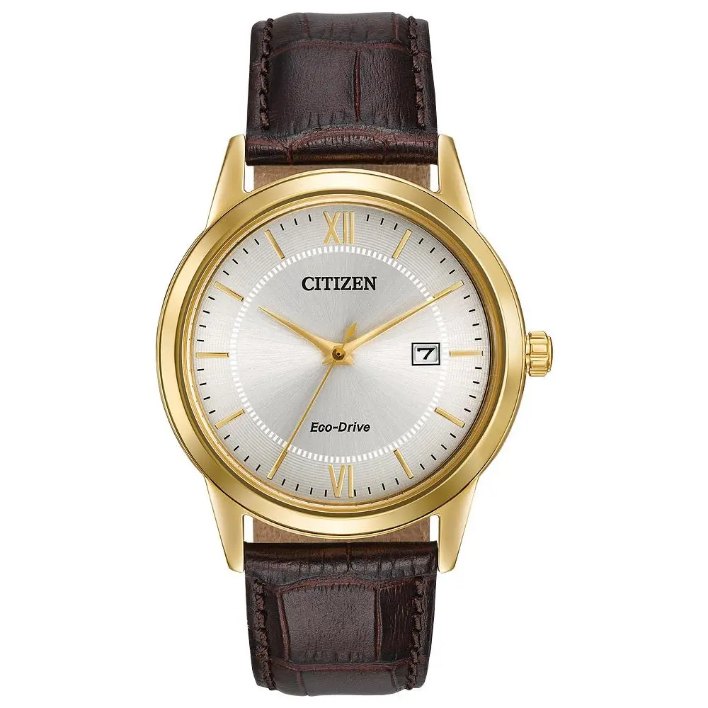 Citizen Men `s Classic Date Indicator Eco-drive Brown Watch 40MM AW1232-04A