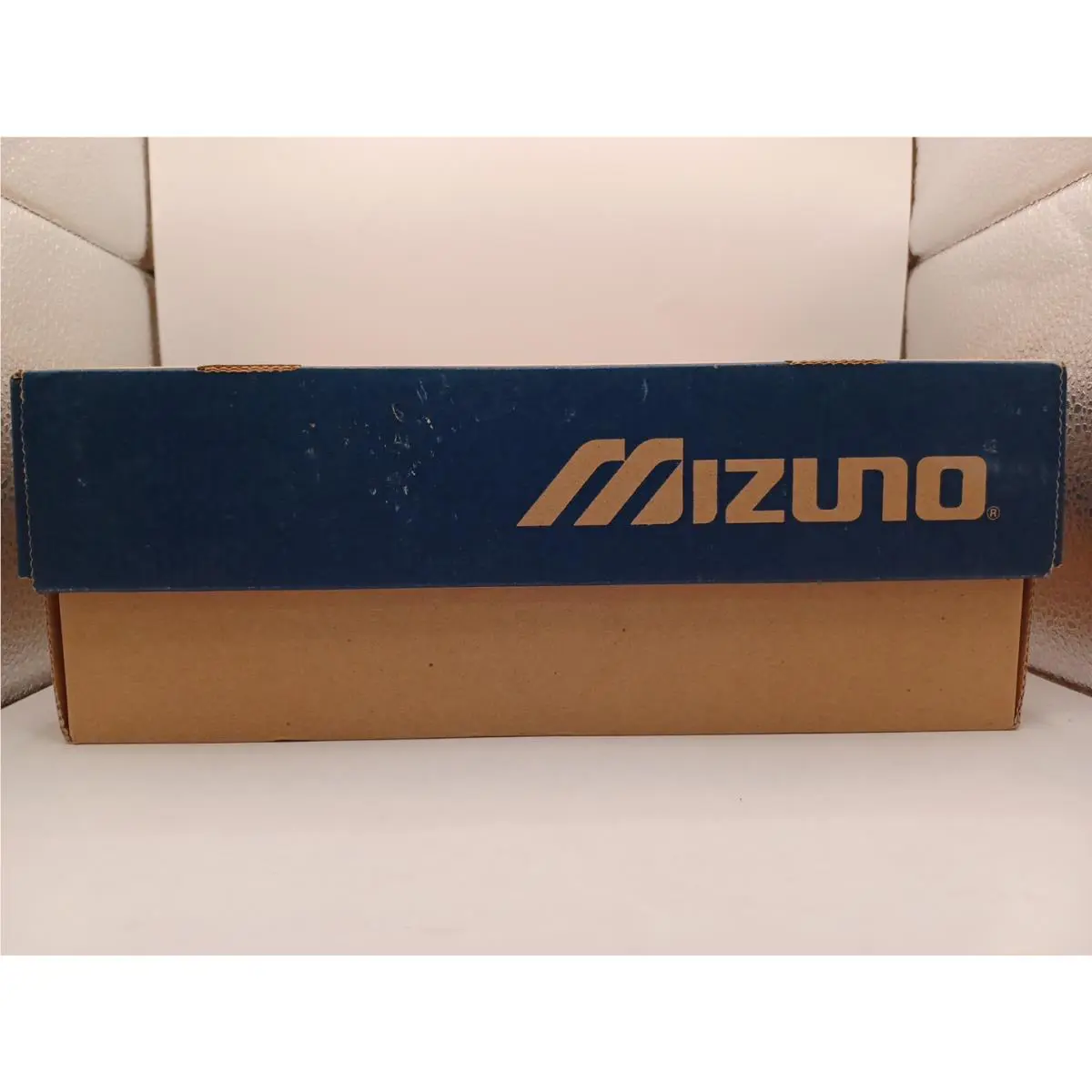 Mizuno shoes - Mizuno Indoor Wave Spike 10 Wkmsns - Multicolor 12