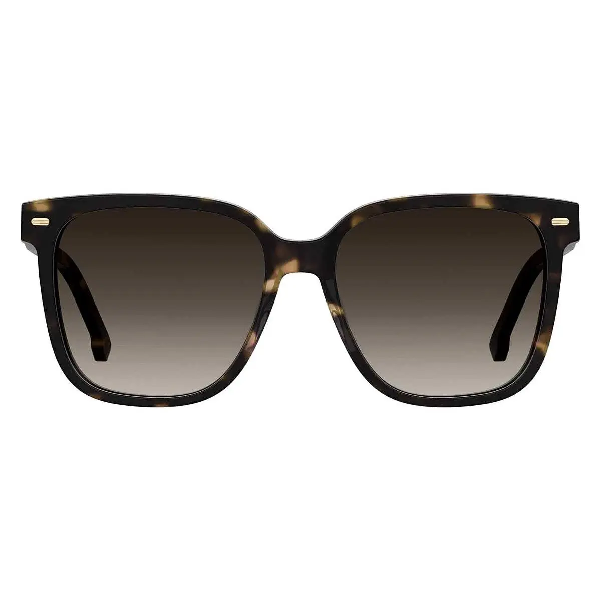 Carrera Car Sunglasses Women Havana / Brown Gradient 55mm
