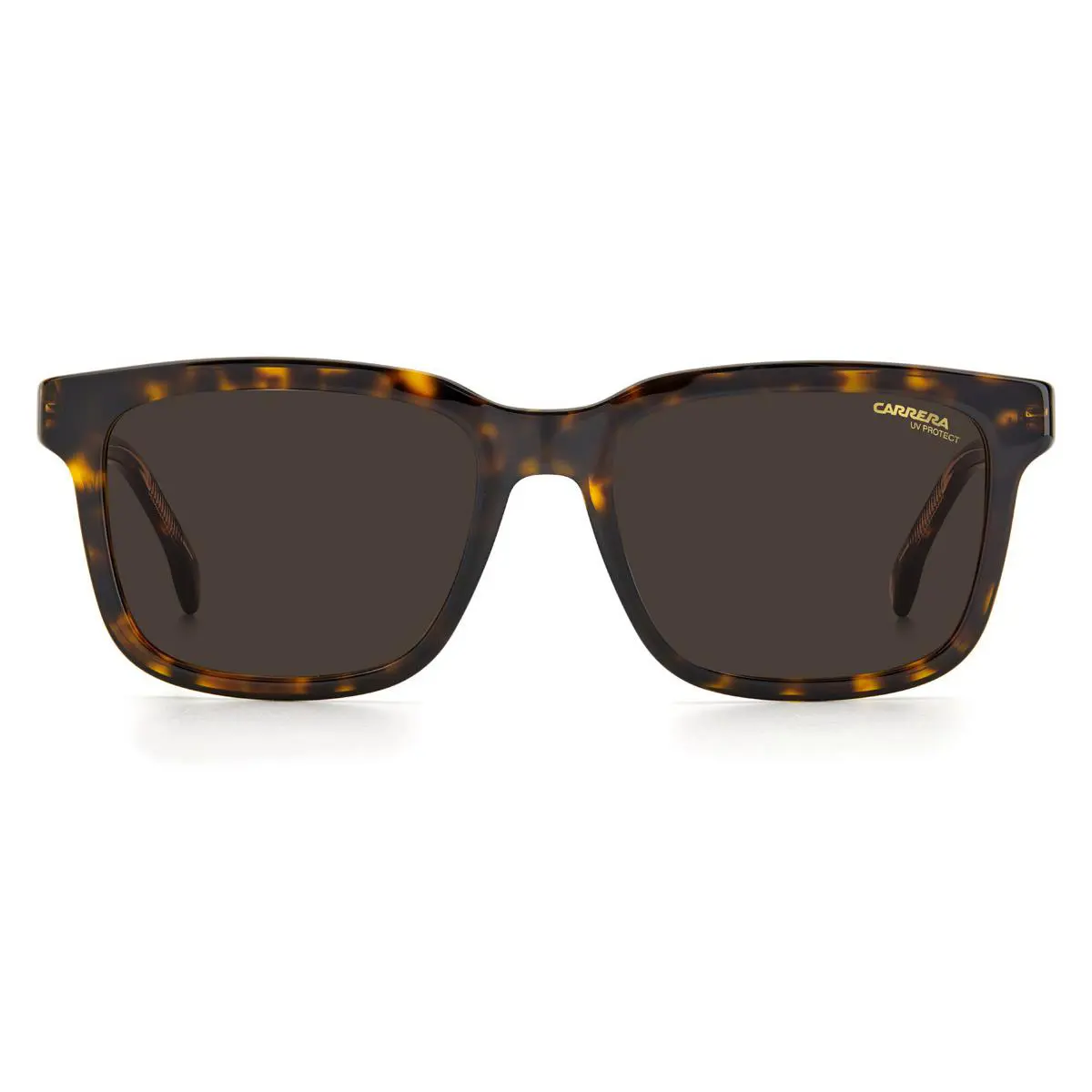 Carrera 251/S Sunglasses Men 0086 Dark Havana Rectangle 53mm