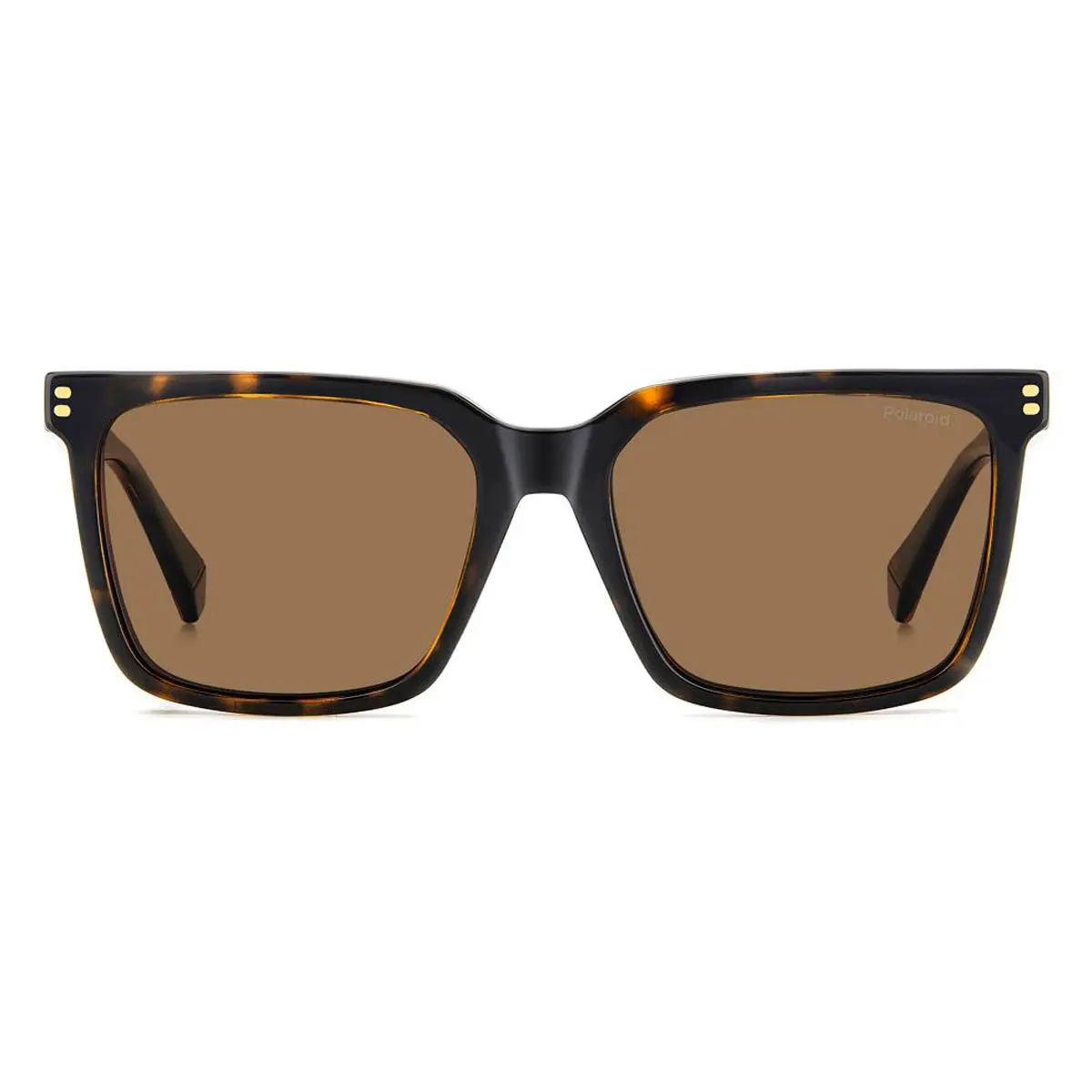 Polaroid Pld D556/C Sunglasses Male Havana 54mm