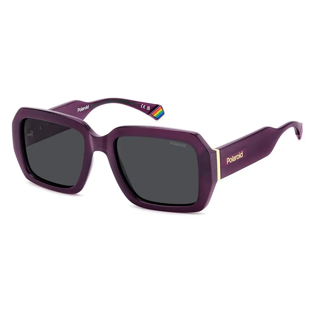 Polaroid Pld 6223/S/X Sunglasses Male Violet 54mm
