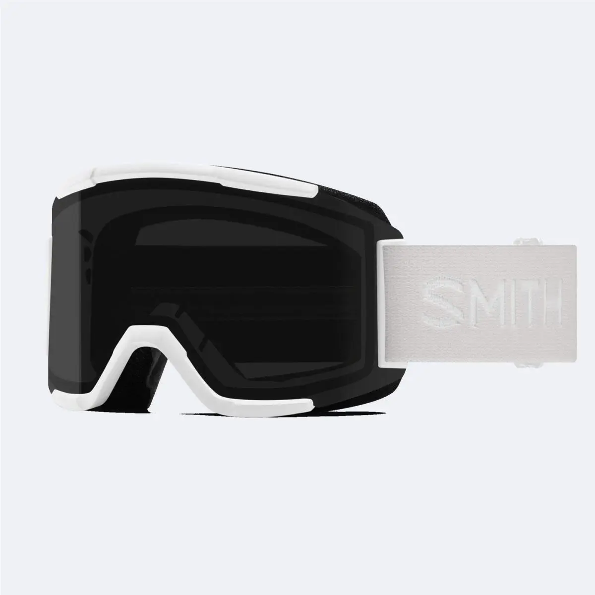 Smith Squad Goggle - M00668