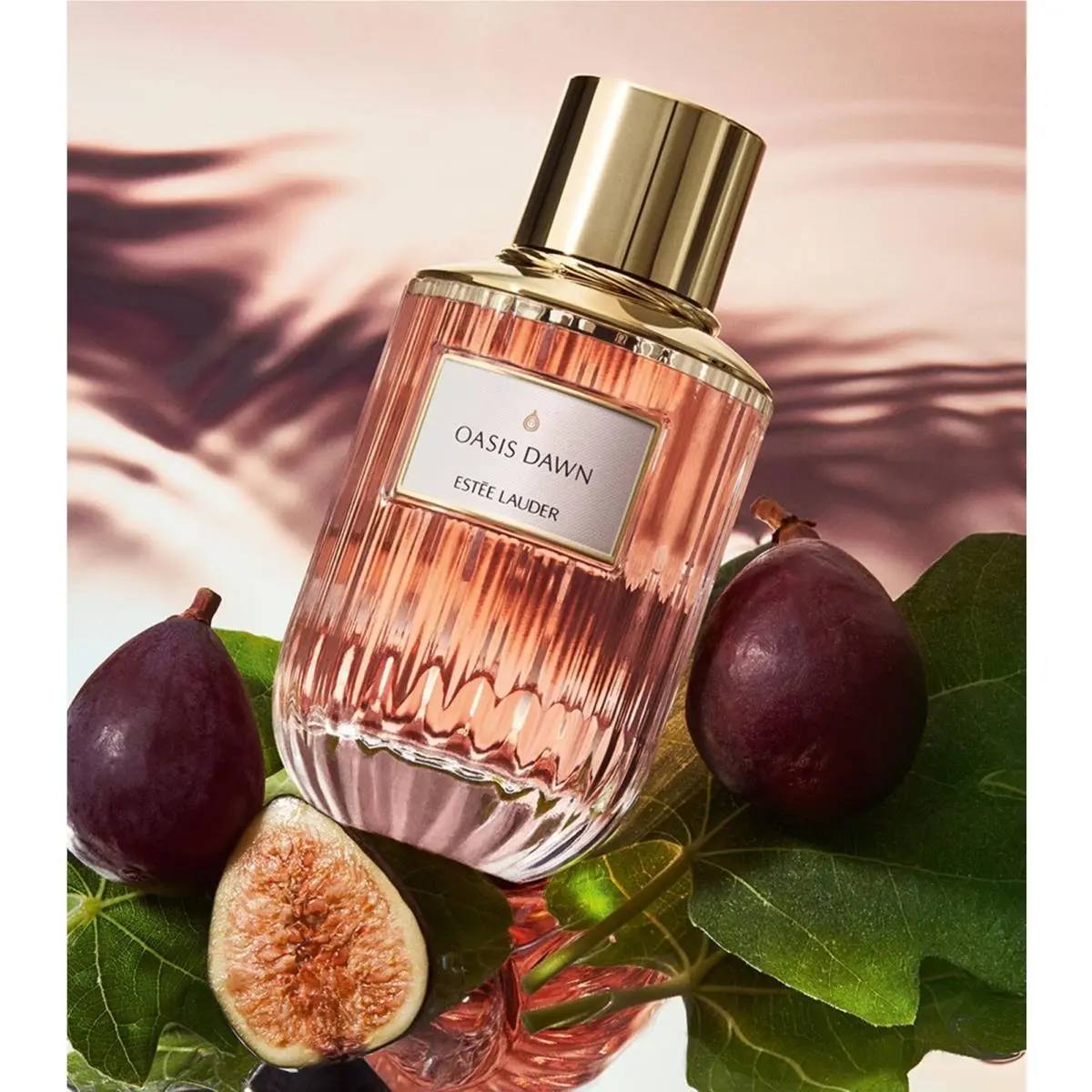 Estee Lauder Oasis Dawn Eau De Parfum Perfume Spray Womens 3.4oz 100ml Boxed