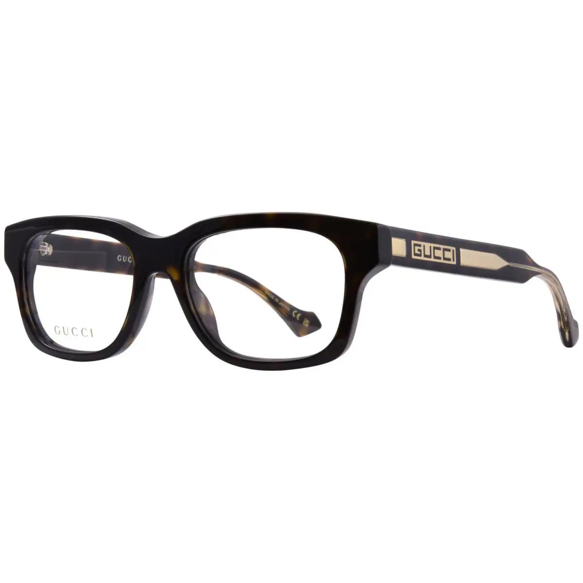 Men Eyeglasses Shiny Black Demo Square GG1731O 001 by Gucci