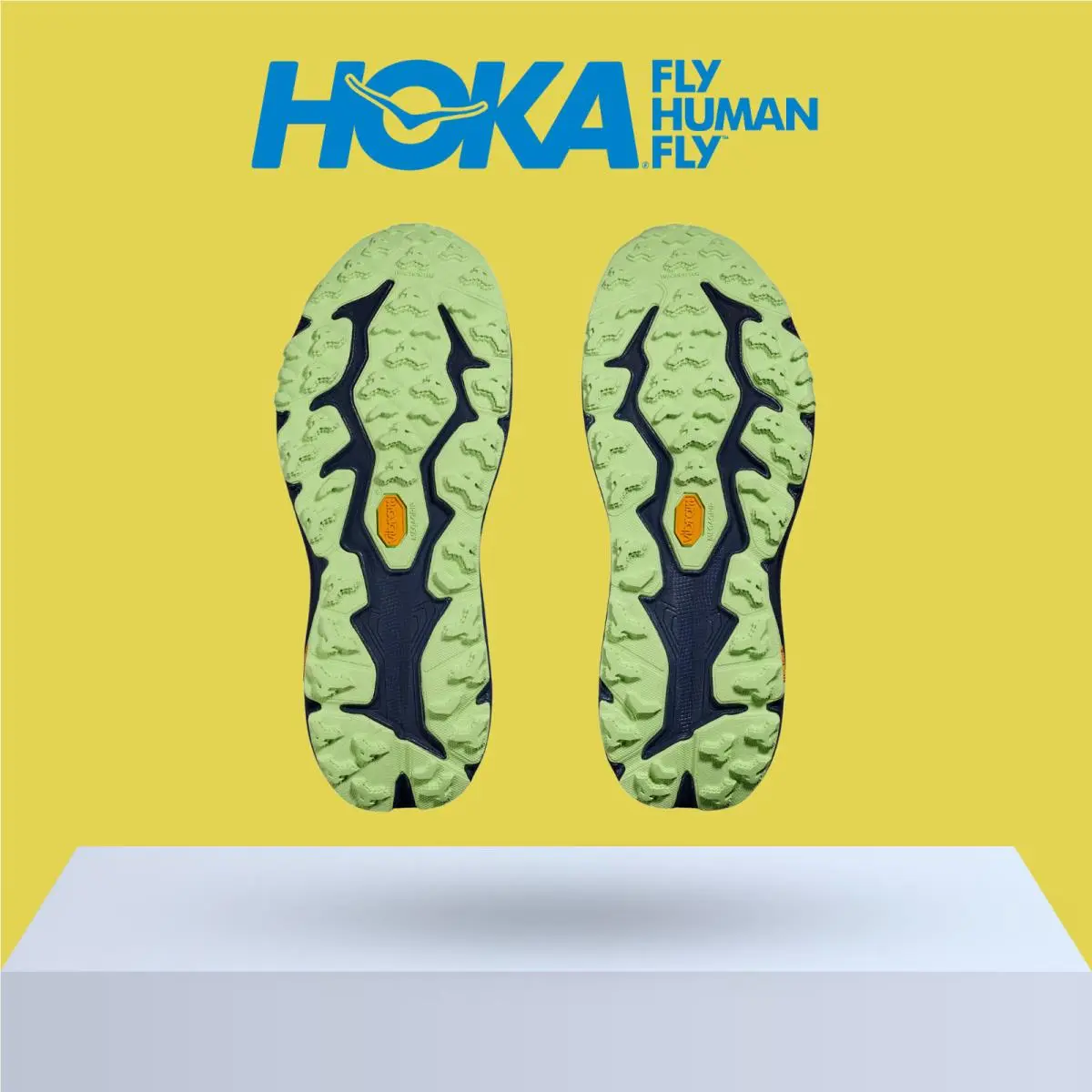 Hoka shoes - Hoka One One Speedgoat 6 - Black/Stardust 13