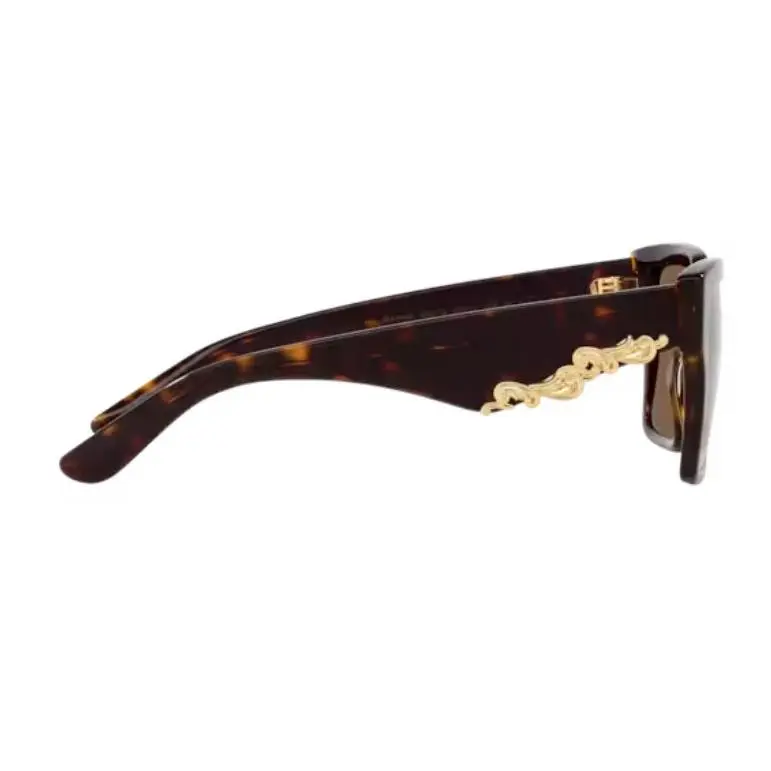 Dolce Gabbana Women`s DG4436 502/73 55 Fashion 55mm Havana  display picture 3