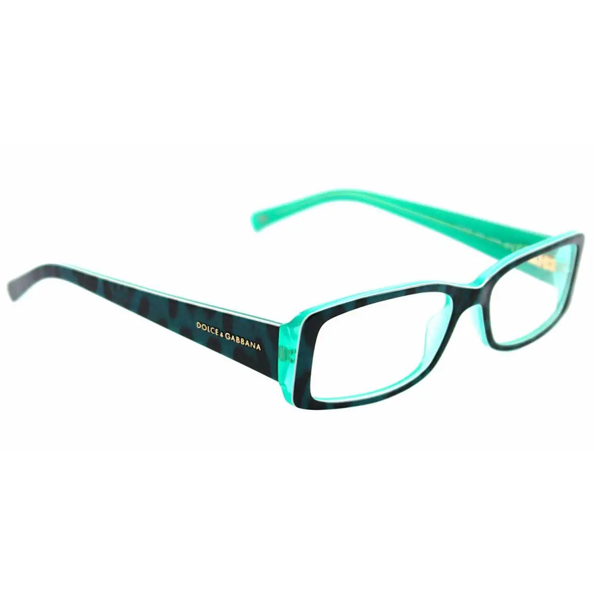 Dolce Gabbana Eyewear DG3076 1754 D