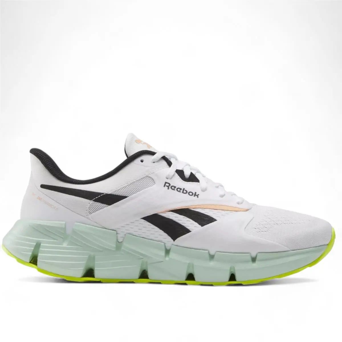 100074908 Mens Reebok Zig Dynamica 5