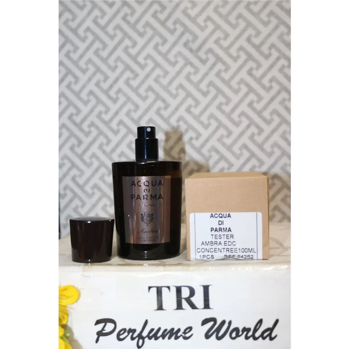 Acqua DI Parma Ambra Eau de Cologne Concentree Men Spray 3.3 Fl. Oz. Brown Box