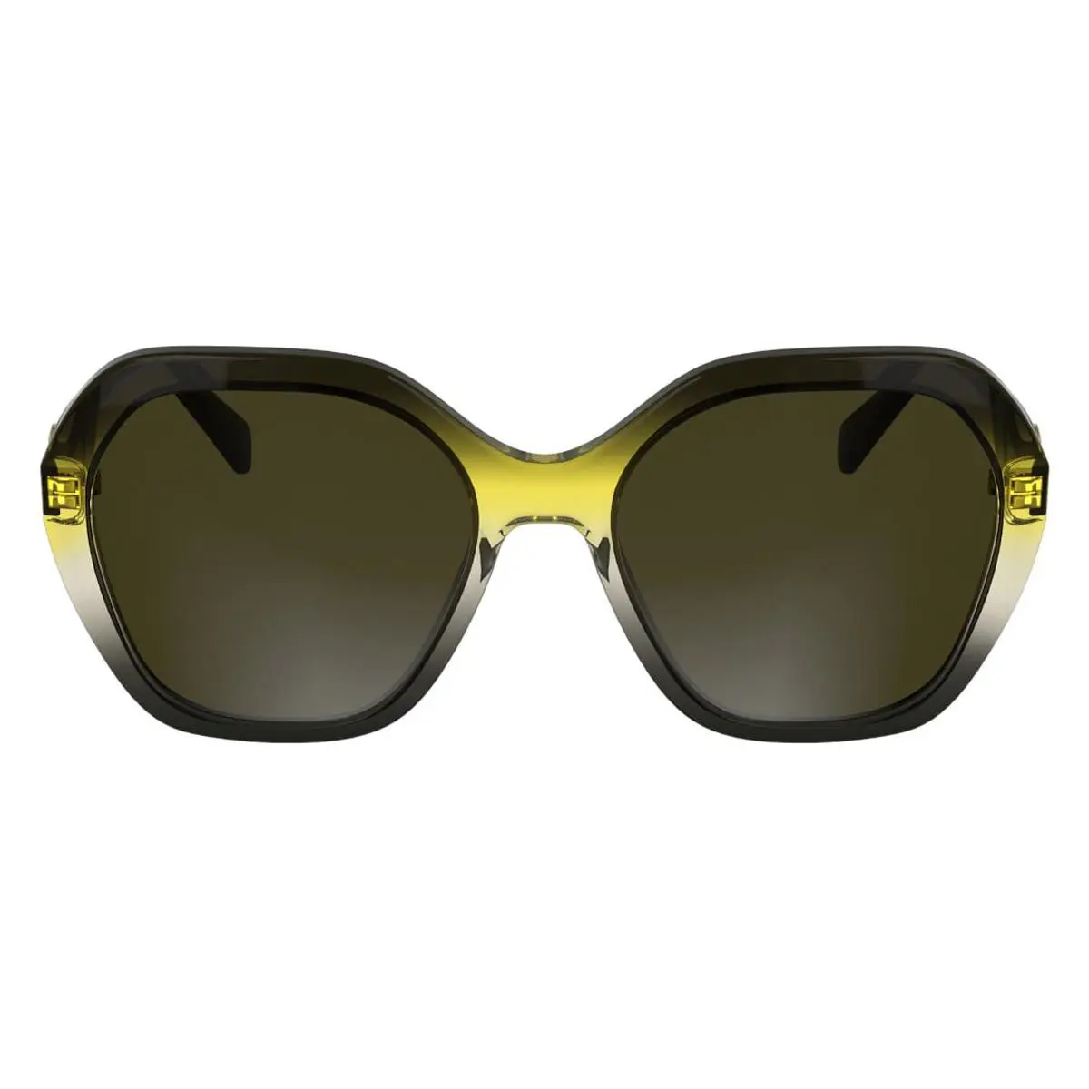 LO759S Sunglasses Female Transparent Gradient Black 54mm by Longchamp