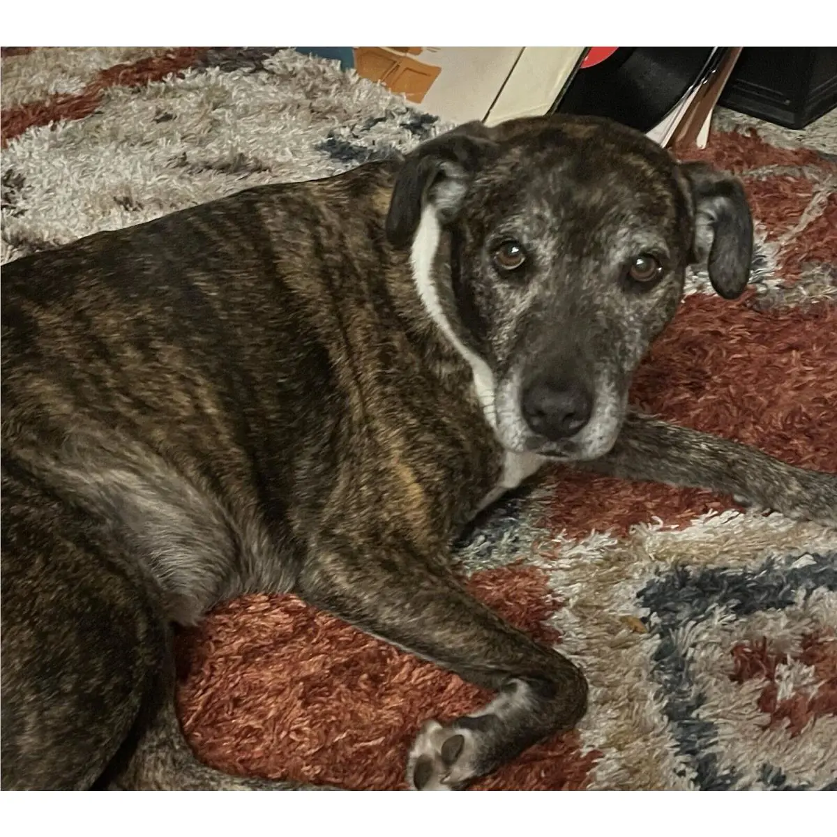 Saucony shoes Guide - Black 3