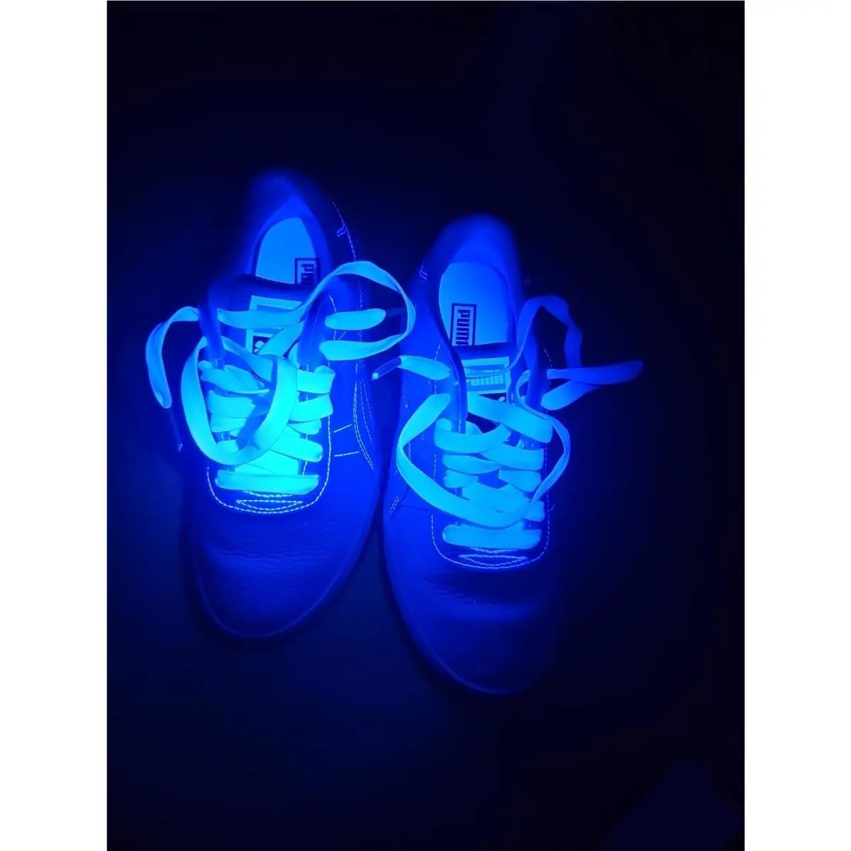 Puma shoes - PUMA Cali - Cali - 38315701 - White (UPC: 192339972636) 8