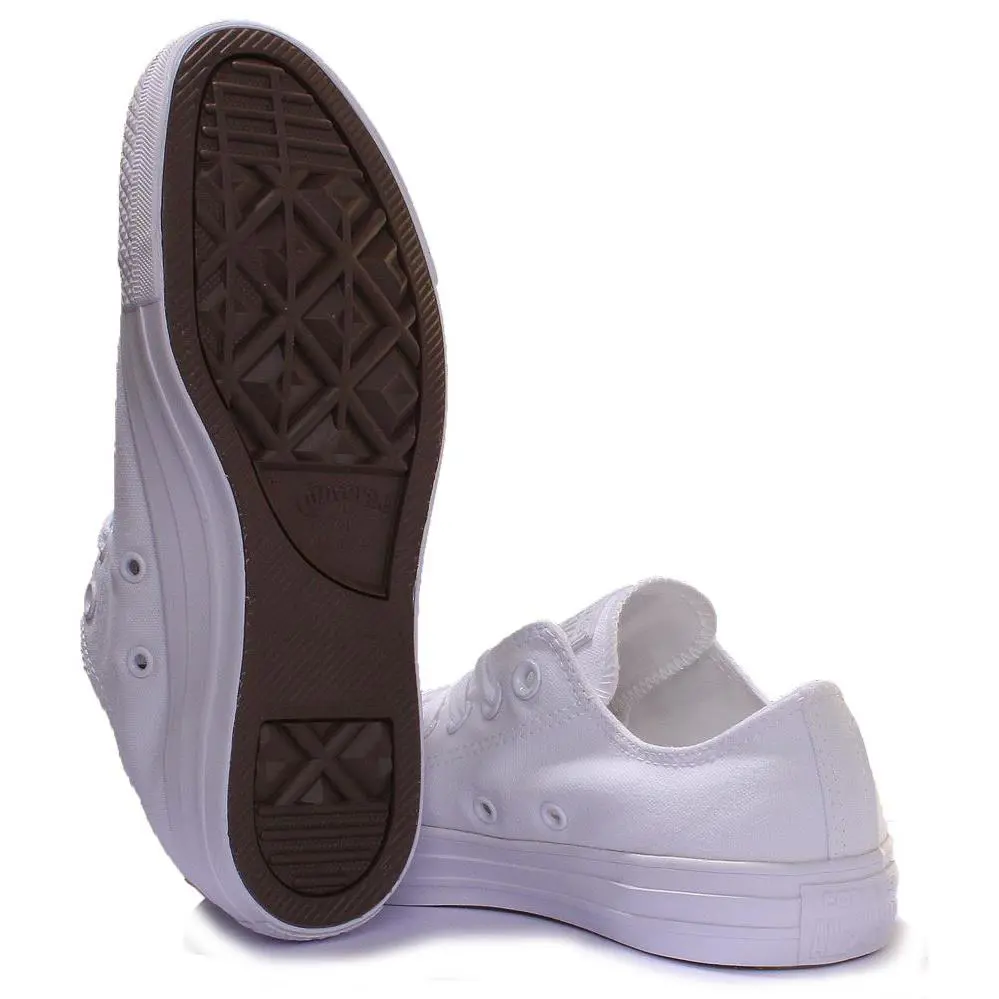 Converse shoes - WHITE MONO 2
