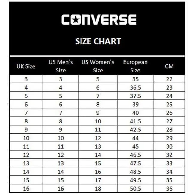 Converse shoes - Gray 1