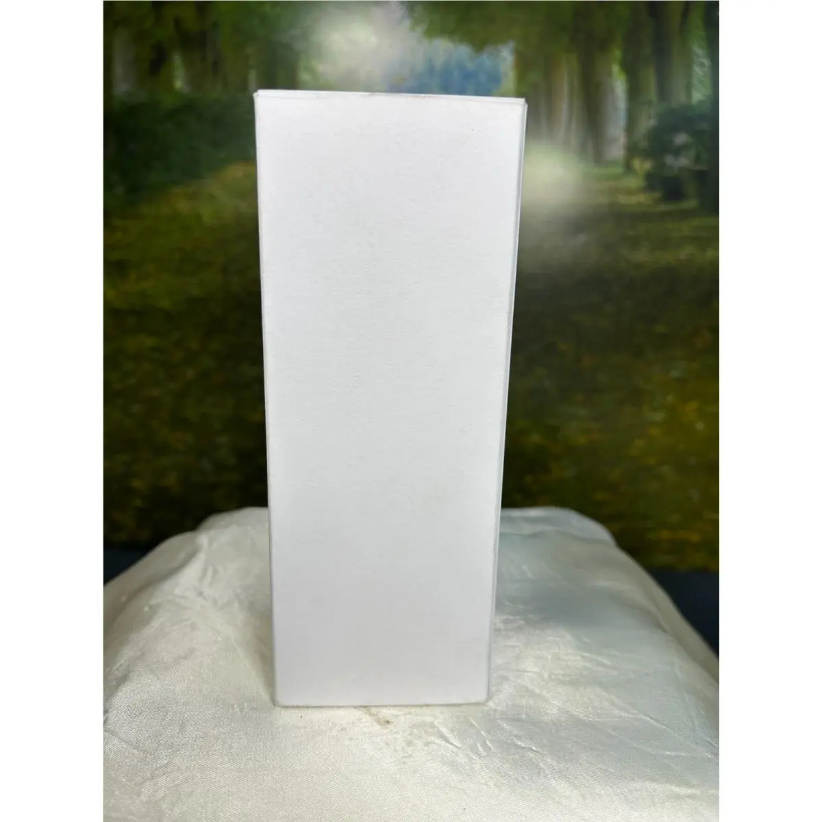 Clinique Beyond Rose 100ML Parfum Spray W/ White Box