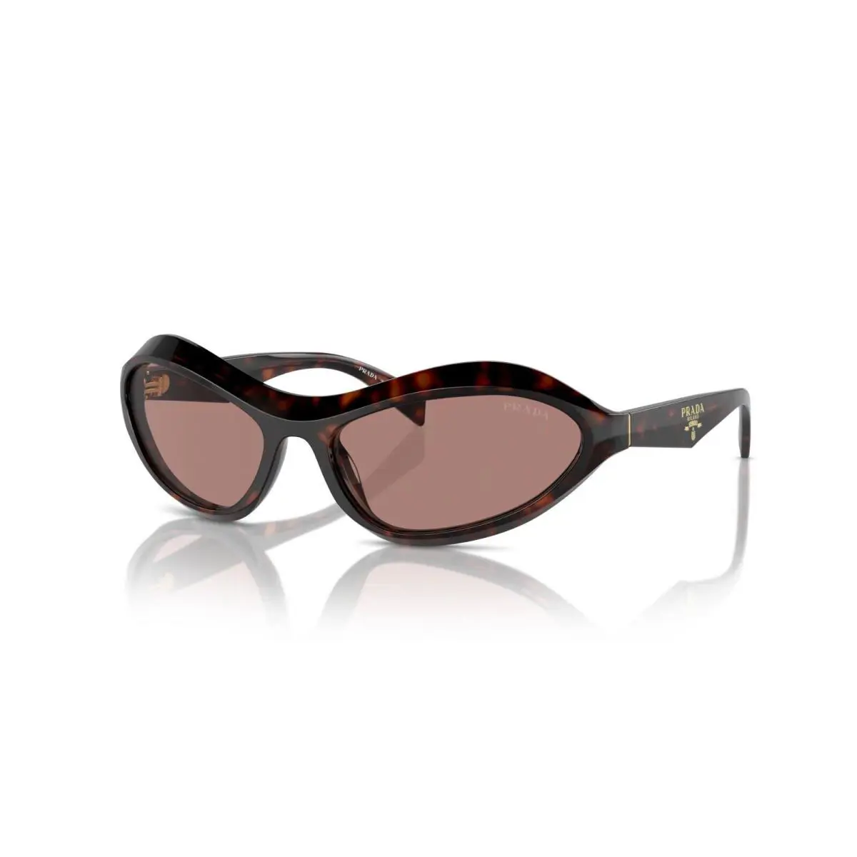 Prada PR A20S Root Tortoise/light Brown 17N-10D Sunglasses