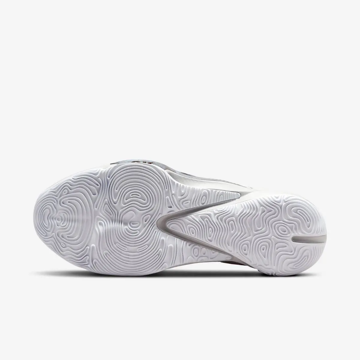 Nike shoes - Nike Zoom Freak - Zoom Freak - DA0694-004 - Gray 23