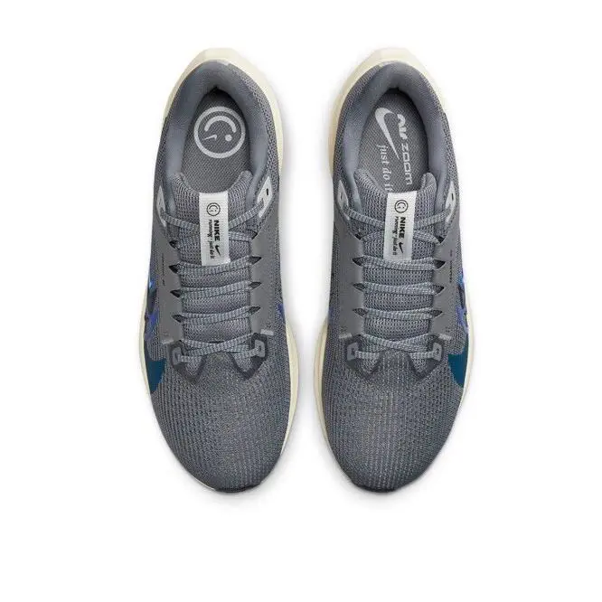 Nike shoes - Nike Air Zoom Pegasus 40 PRM - FB7179-002 - Smoke Grey/Coconut Milk/Photon Dust-Multi 2