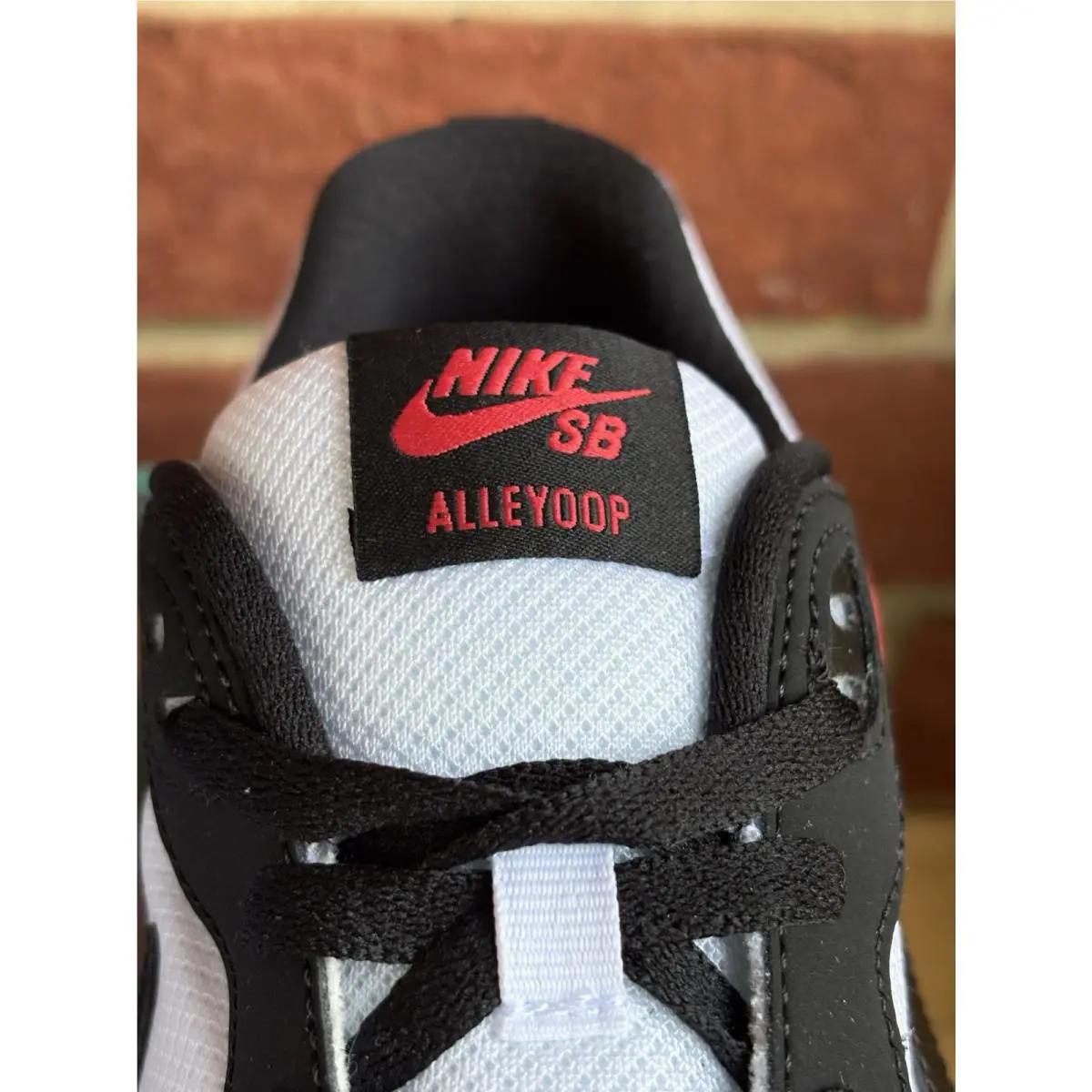 Nike shoes - Nike SB Alleyoop - Alleyoop - CJ0882102 - White 6