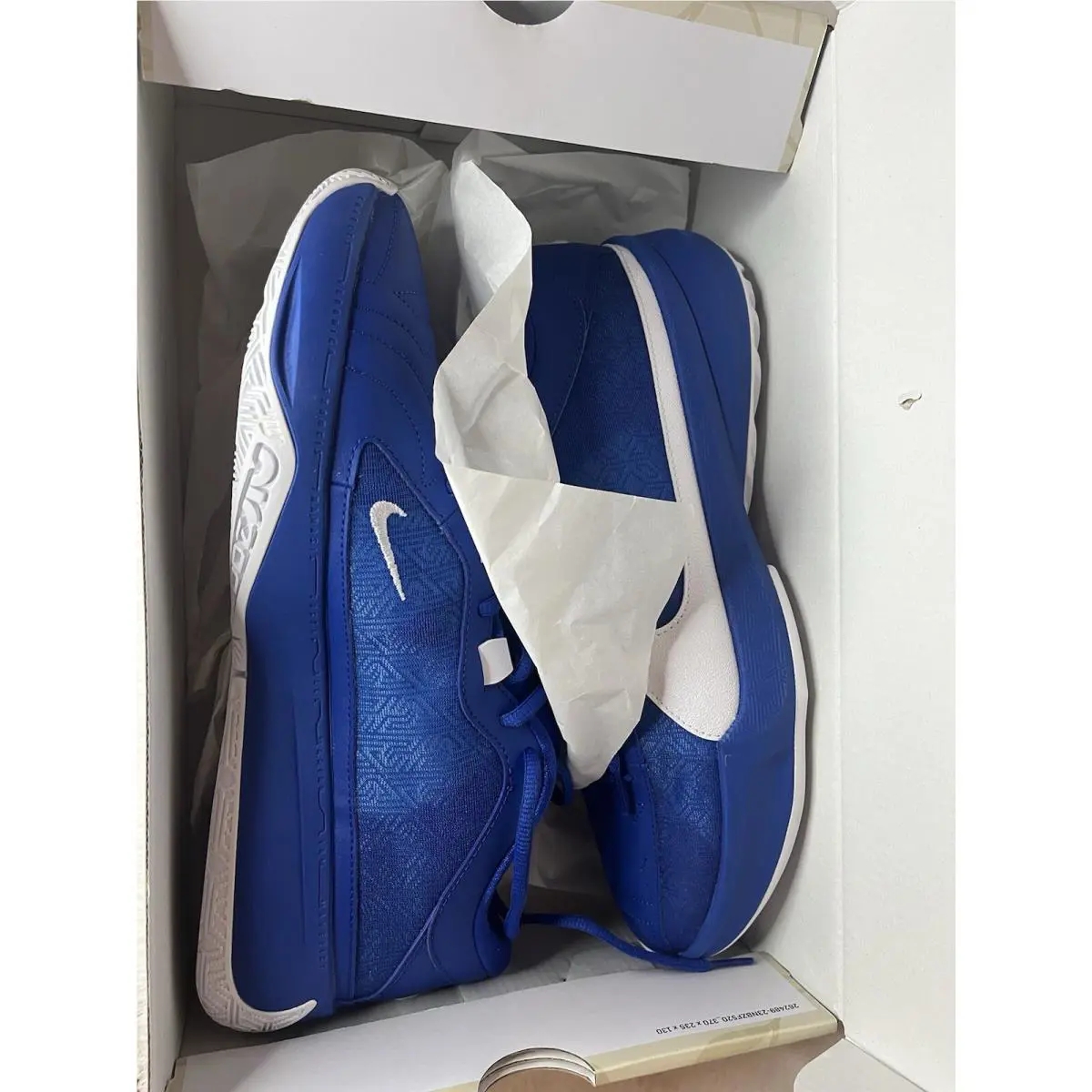 Nike shoes - Nike Zoom Freak - Zoom Freak - DZ2946-400 - Blue 1