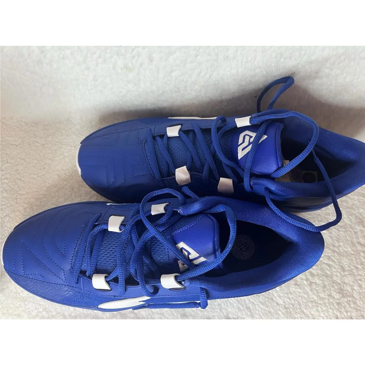 Nike shoes - Nike Zoom Freak - Zoom Freak - DZ2946-400 - Blue 5