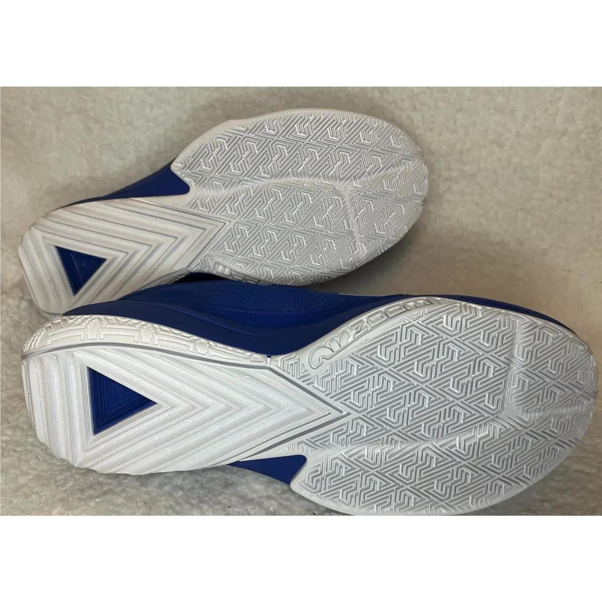 Nike shoes - Nike Zoom Freak - Zoom Freak - DZ2946-400 - Blue 9