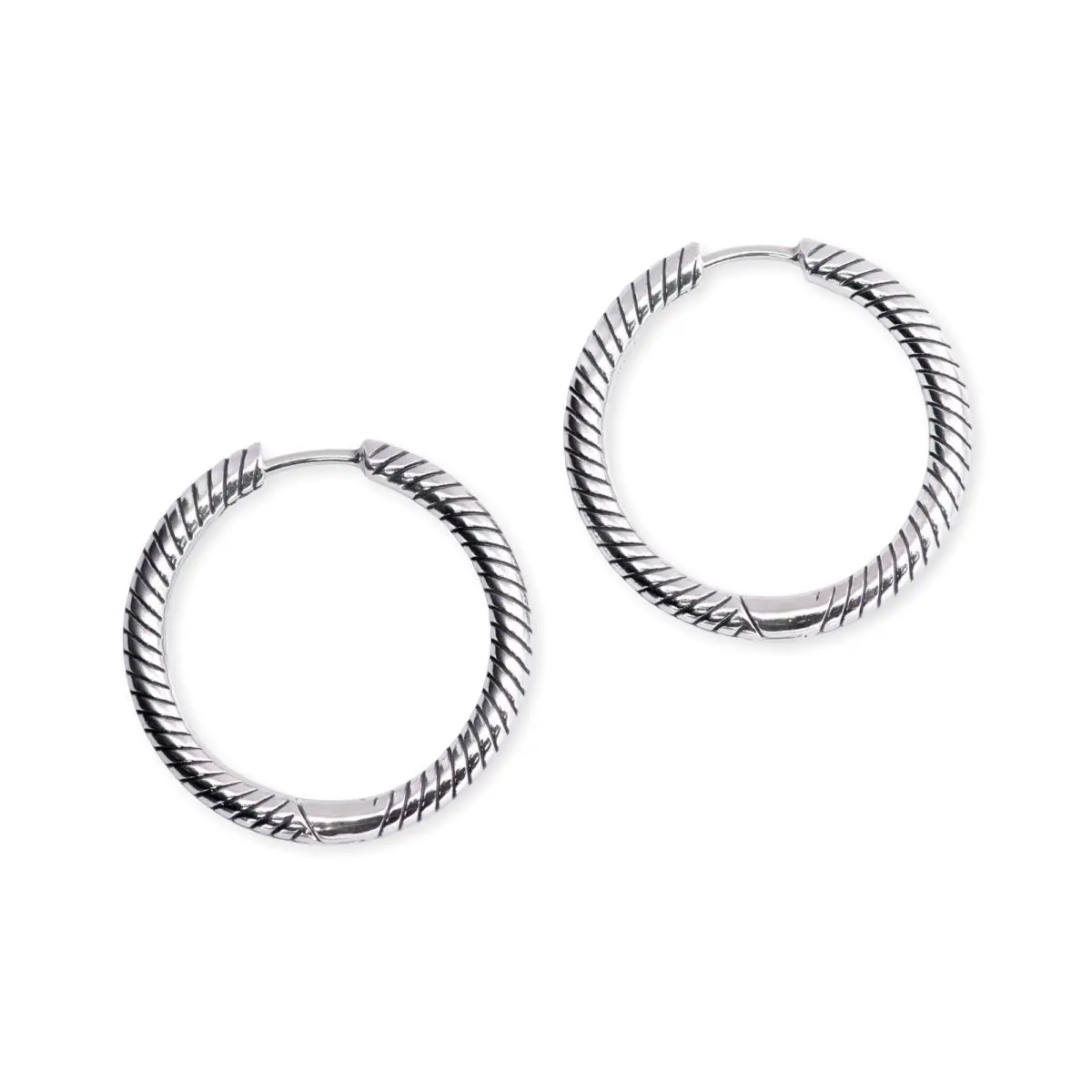 Pandora Moments Charm Hoop Earrings 299532C00
