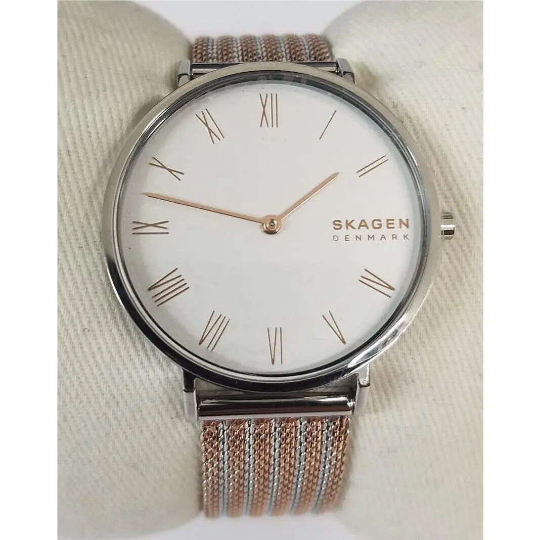 Skagen Hald Women`s Two-tone Stainless Steel Mesh Band Watch SKW2815