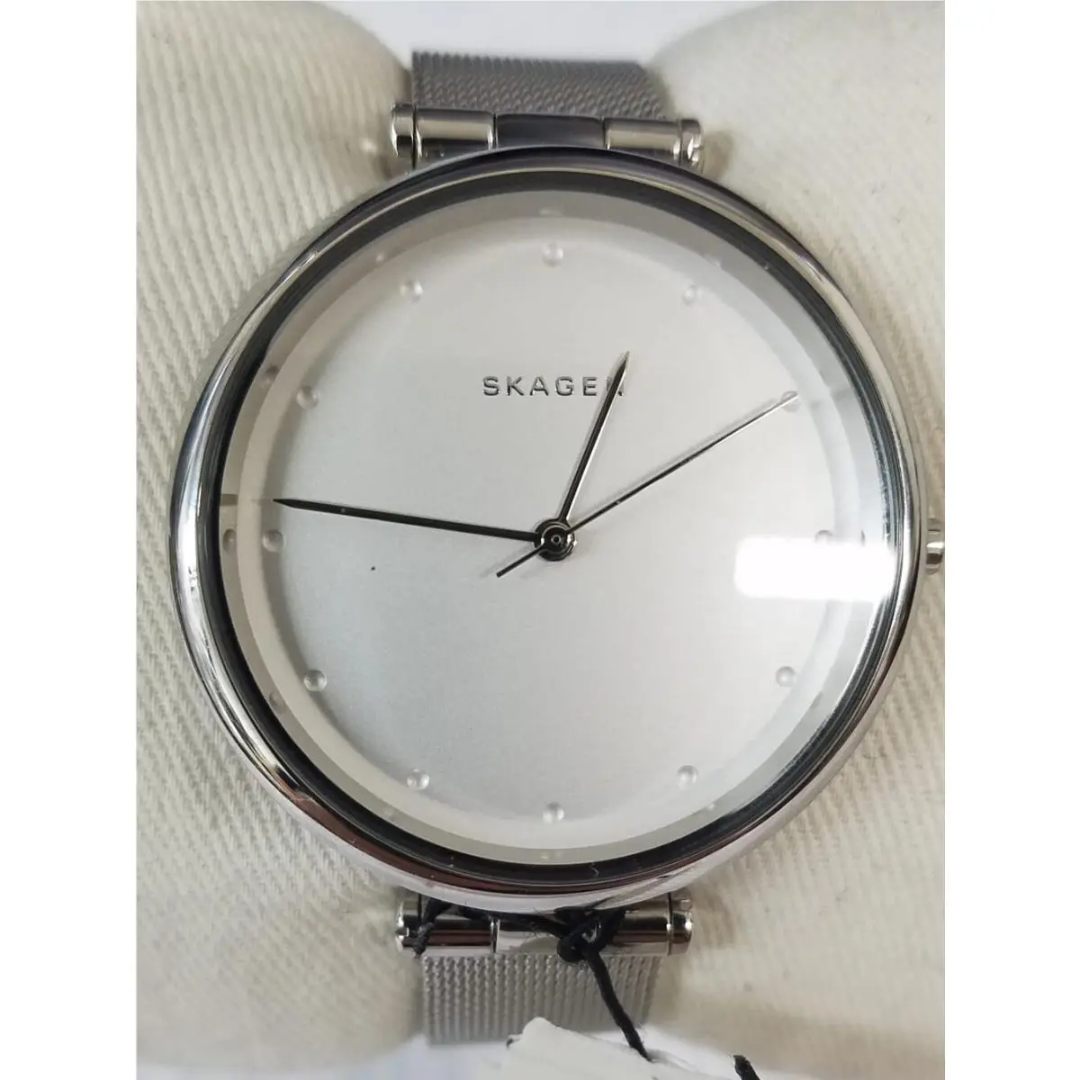 Skagen SKW2485 Tanja Silver Dial Mesh Stainless Steel Women`s Watch