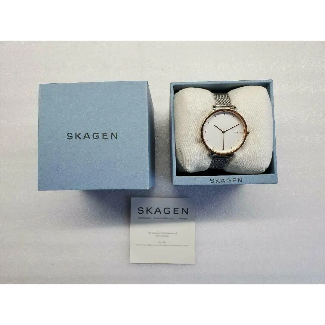 Hagen Silver Dial Rose Gold Case Mesh Bracelet Ladies Watch SKW2662 by Skagen